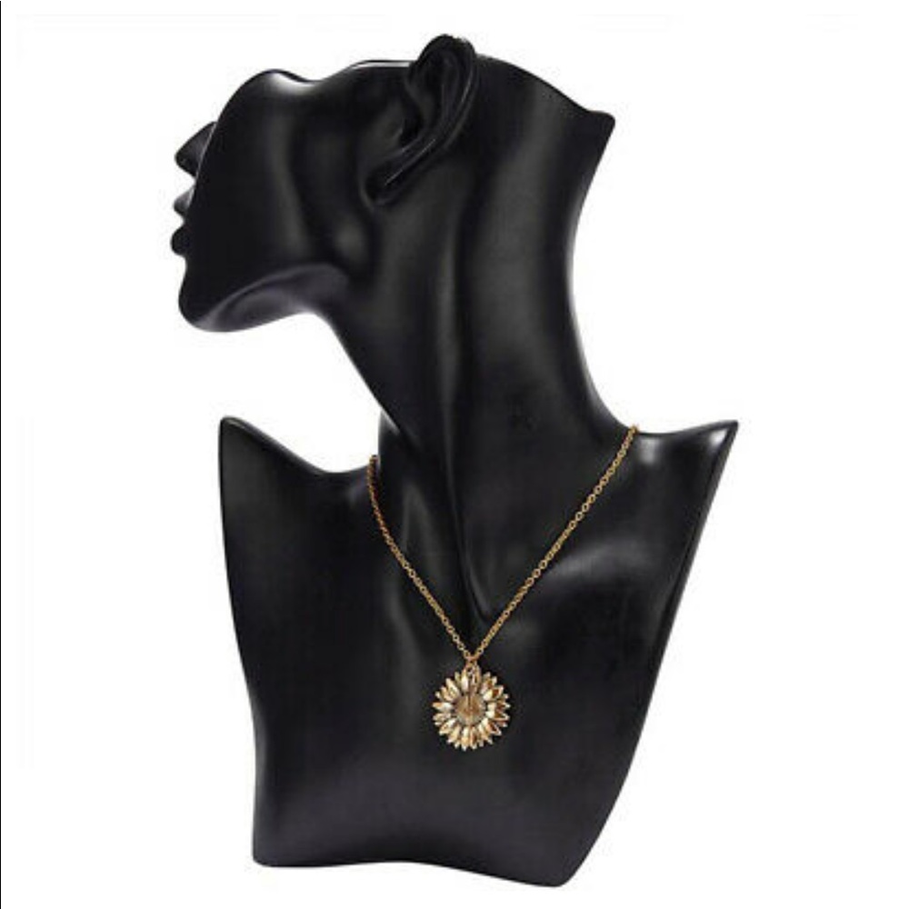 NWT You Are My Sunshine Pendant Necklace - Picture 3 of 5